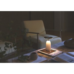 Настольный светильник Maytoni Umbra MOD522TL-L6BG3K