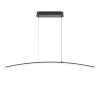 Подвесной светильник Maytoni Curve MOD243PL-L18BK