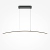 Подвесной светильник Maytoni Curve MOD243PL-L18BK