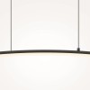 Подвесной светильник Maytoni Curve MOD243PL-L18BK