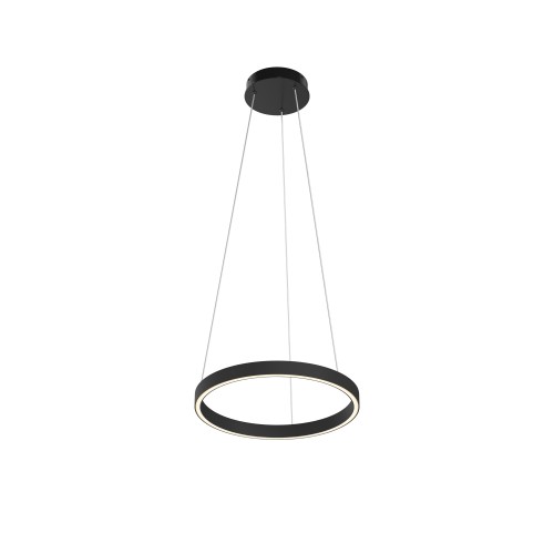 Подвесной светильник Maytoni Rim MOD058PL-L22BK