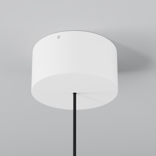 Подвесной светильник  Maytoni Outdoor Apex O491PL-L6W3K