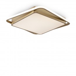 Потолочный светильник Freya FR10026CL-L93G