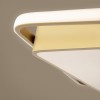 Потолочный светильник Freya FR10026CL-L93G