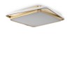 Потолочный светильник Freya FR10026CL-L93G