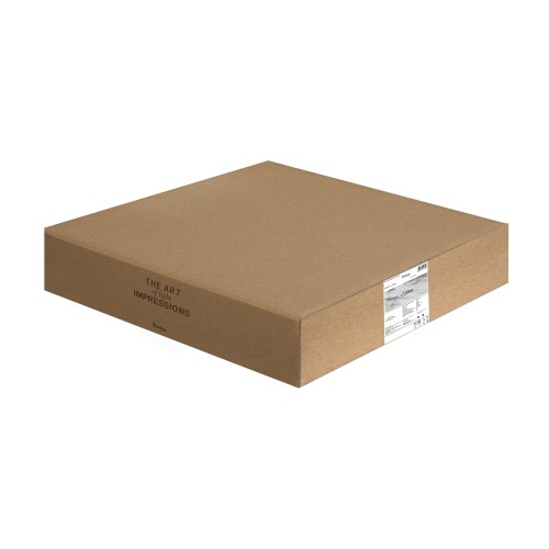Потолочный светильник Freya FR5450CL-L120BG