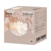 Потолочный светильник Freya FR5498CL-03W