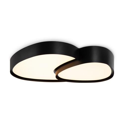 Потолочный светильник Freya FR6079CL-L72B