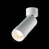 Потолочный светильник Technical C055CL-L12W3K-Z-W