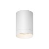 Потолочный светильник Maytoni Outdoor Luxe O500CL-L10W3K