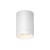 Потолочный светильник Maytoni Outdoor Luxe O500CL-L10W3K Потолочный светильник Maytoni Outdoor Luxe O500CL-L10W3K