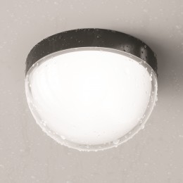 Потолочный светильник  Maytoni Outdoor Mon O438CL-L12GF3K