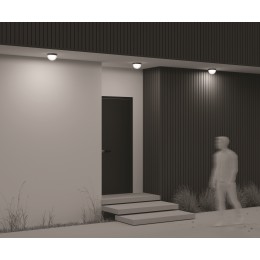 Потолочный светильник  Maytoni Outdoor Mon O438CL-L12GF3K
