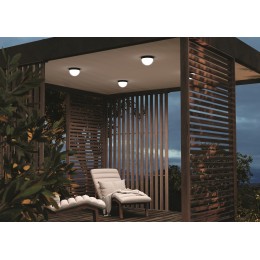 Потолочный светильник  Maytoni Outdoor Mon O438CL-L12GF3K