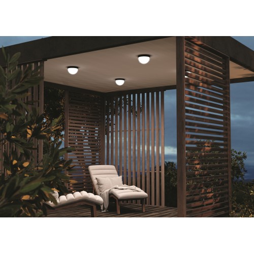 Потолочный светильник  Maytoni Outdoor Mon O438CL-L12GF3K