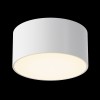 Потолочный светильник  Maytoni Outdoor Zon IP O430CL-L15W3K