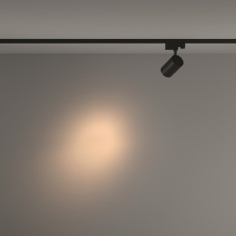 Трековый светильник Technical TR029-3-10W3K-S-B