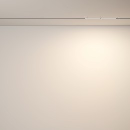 Трековый светильник Technical TR106-2-12W3K-B