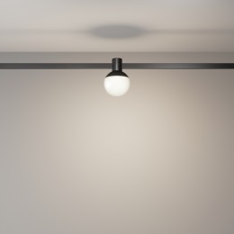 Трековый светильник Technical TR149-1-5W4K-B