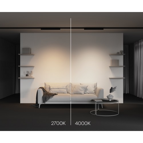 Трековый светильник Technical TR196-3-20W4K-B(N)