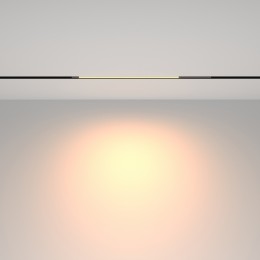 Трековый светильник Technical TR231-2-10W3K-B