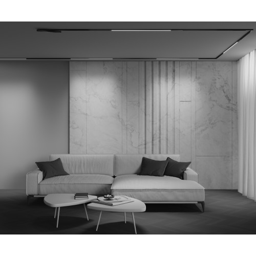 Трековый светильник Technical TR240-4-18WTW-DSZ-B