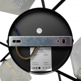 Люстра Freya FR5328CL-06B