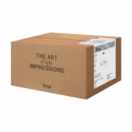 Люстра Freya FR5567PL-06G