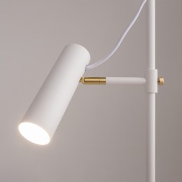 Напольный светильник (торшер) Maytoni Bansky MOD129FL-01W