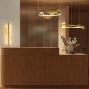 Настенный светильник (бра) Maytoni Botanica MOD513WL-L10BS3K