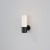 Настенный светильник (бра) Maytoni Outdoor Willis O418WL-01B Настенный светильник (бра) Maytoni Outdoor Willis O418WL-01B