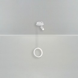 Подвесной светильник Freya FR6082PL-L10W