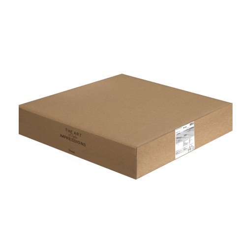 Подвесной светильник Freya FR6082PL-L10W