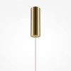 Подвесной светильник Maytoni Golden Cage MOD216PL-L10G3K