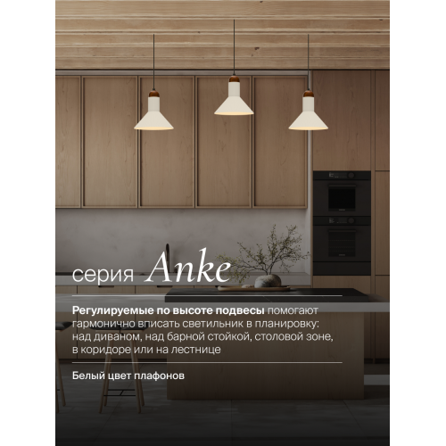 Подвесной светильник NUVOLT LPL-004GR