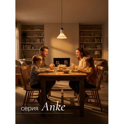 Подвесной светильник NUVOLT LPL-004GR