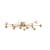 Потолочный светильник Freya FR5242CL-16BS Потолочный светильник Freya FR5242CL-16BS