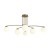 Потолочный светильник Freya FR5443CL-06BS Потолочный светильник Freya FR5443CL-06BS