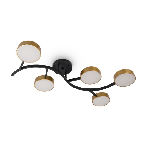 Потолочный светильник Freya FR6048CL-L10GB