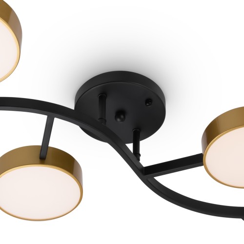 Потолочный светильник Freya FR6048CL-L10GB