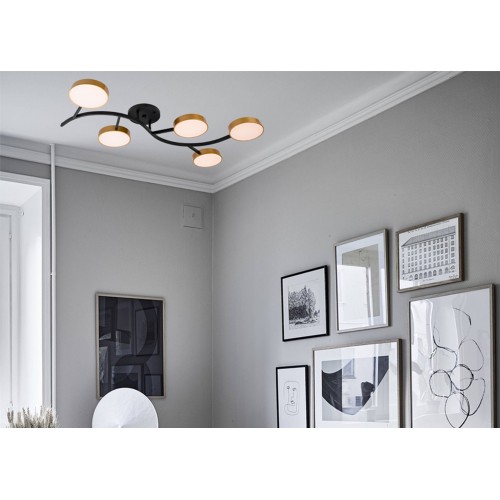 Потолочный светильник Freya FR6048CL-L10GB