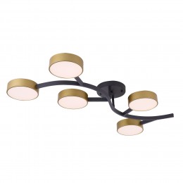 Потолочный светильник Freya FR6048CL-L10GB