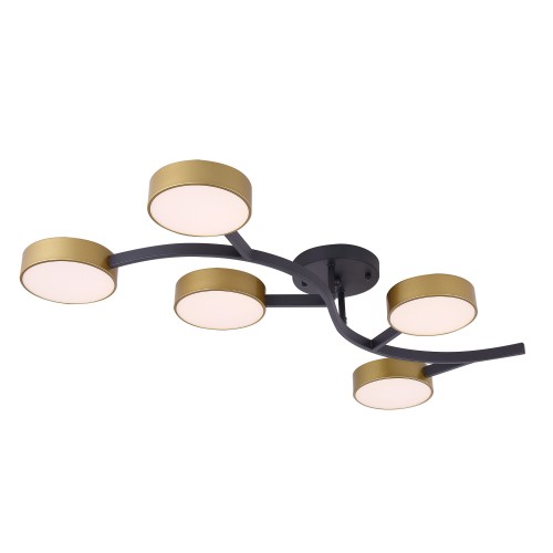 Потолочный светильник Freya FR6048CL-L10GB