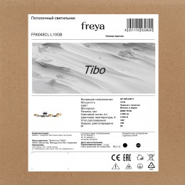 Потолочный светильник Freya FR6048CL-L10GB