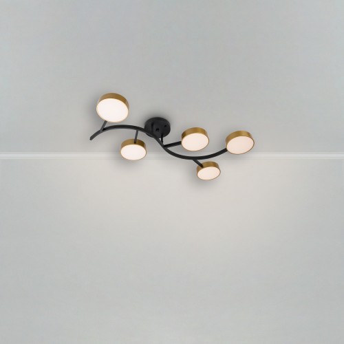 Потолочный светильник Freya FR6048CL-L10GB