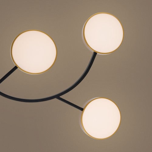 Потолочный светильник Freya FR6048CL-L10GB