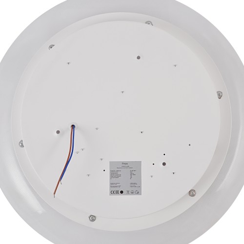 Потолочный светильник Freya FR6151CL-L69W