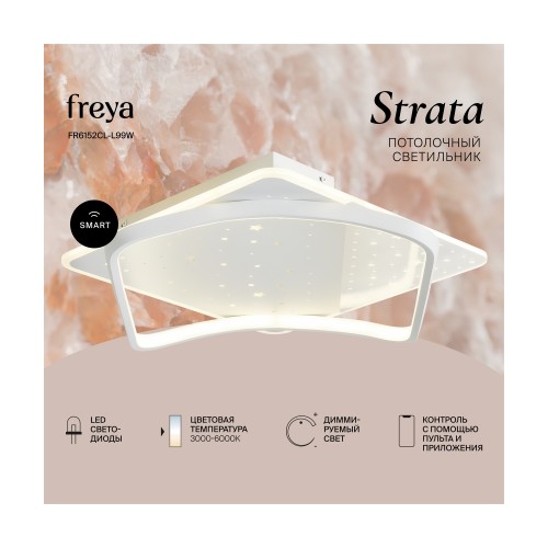 Потолочный светильник Freya FR6152CL-L99W