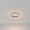 Потолочный светильник Maytoni Rim MOD058CL-L25BS3K