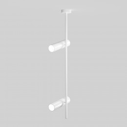 Потолочный светильник Technical C021CL-02W